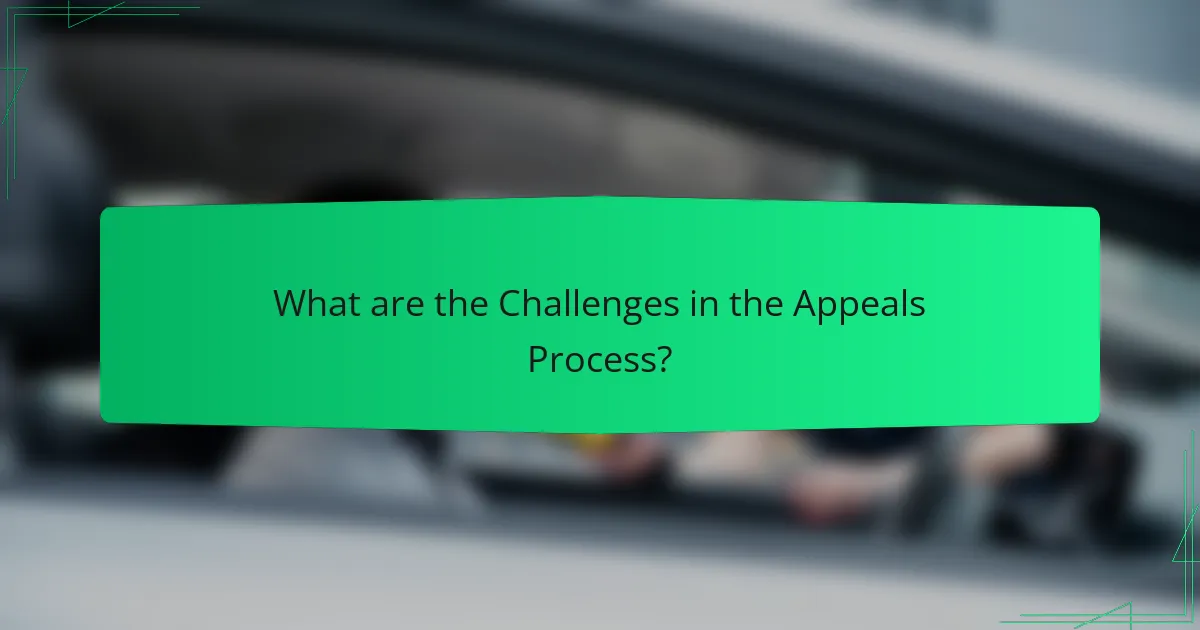 What are the Challenges in the Appeals Process?