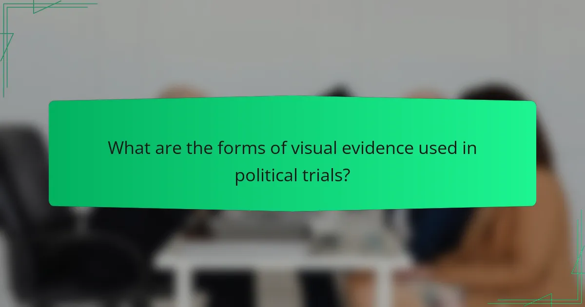What are the forms of visual evidence used in political trials?
