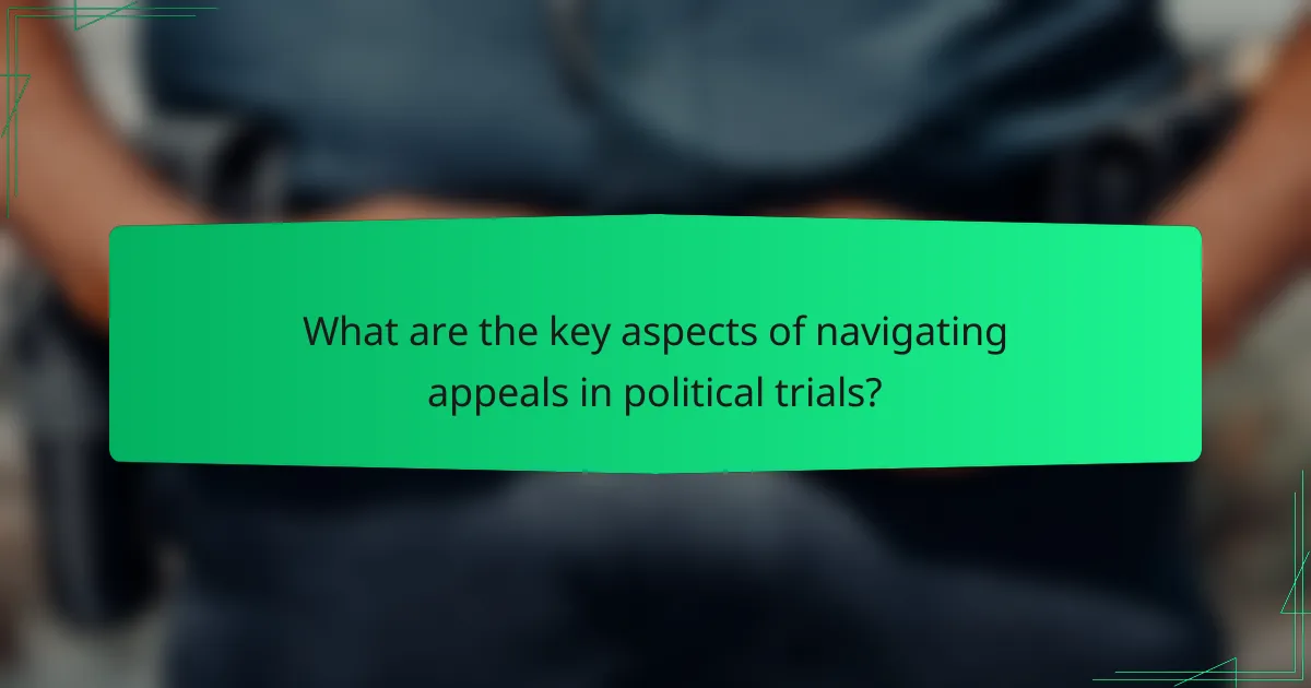 What are the key aspects of navigating appeals in political trials?