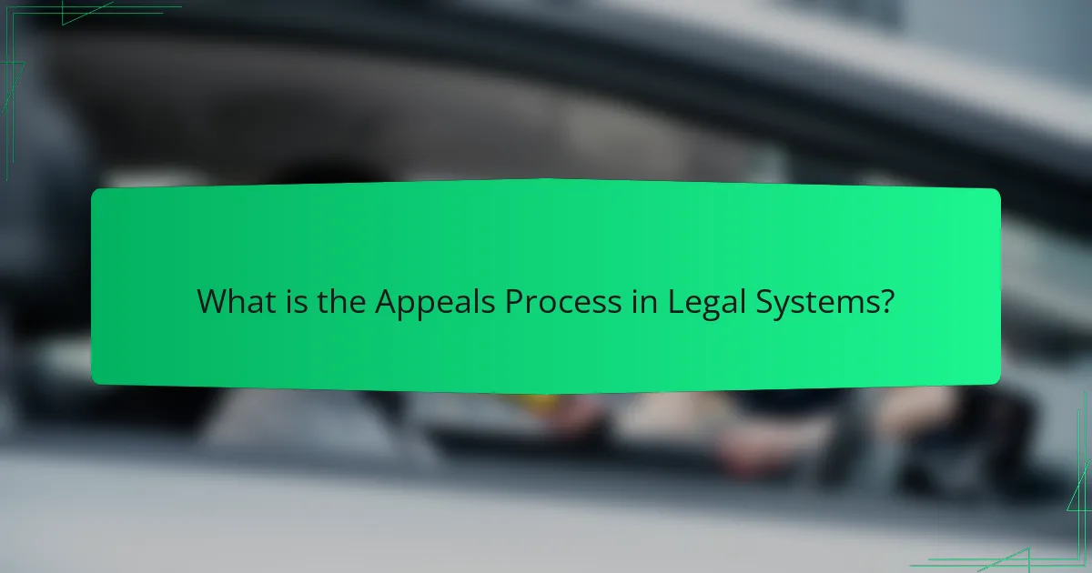 What is the Appeals Process in Legal Systems?