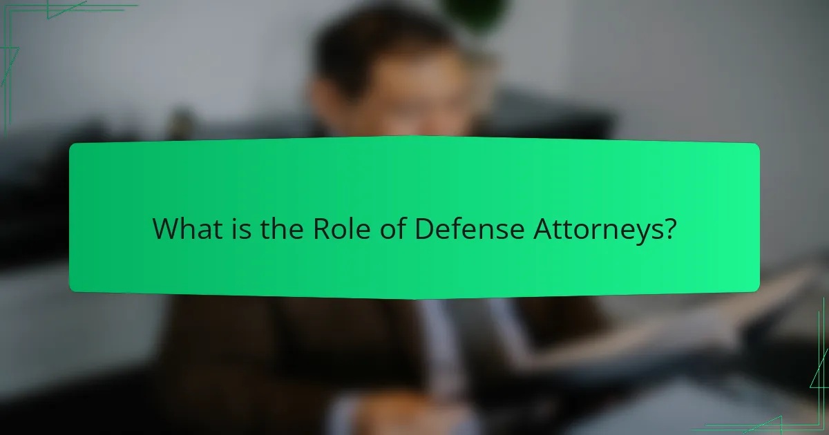 What is the Role of Defense Attorneys?
