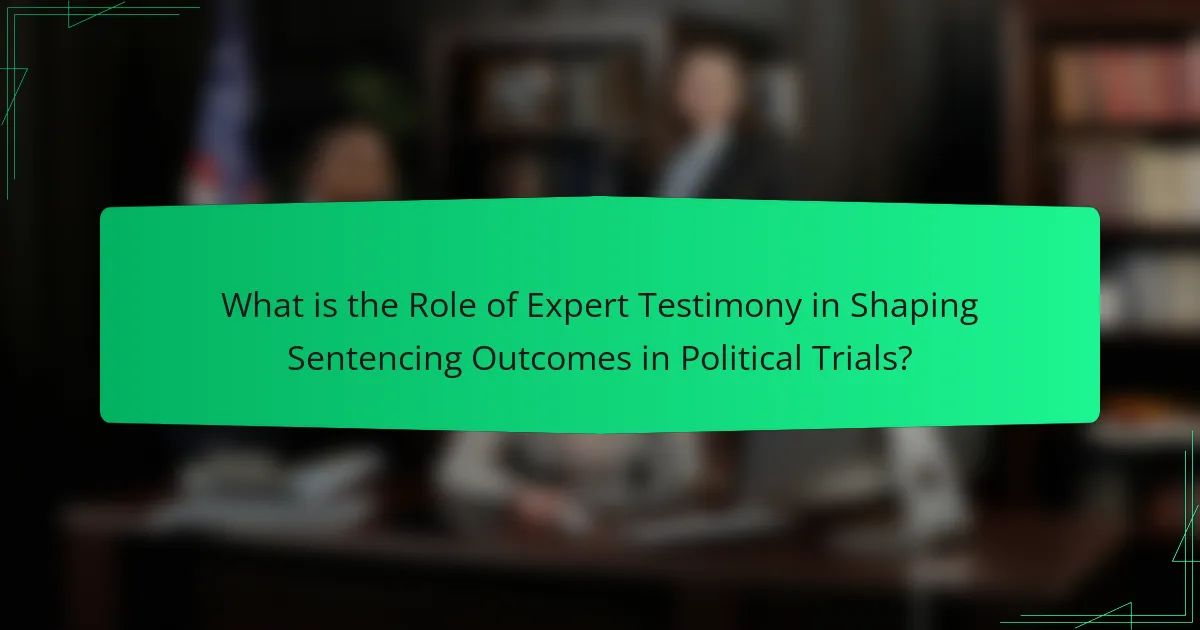 What is the Role of Expert Testimony in Shaping Sentencing Outcomes in Political Trials?