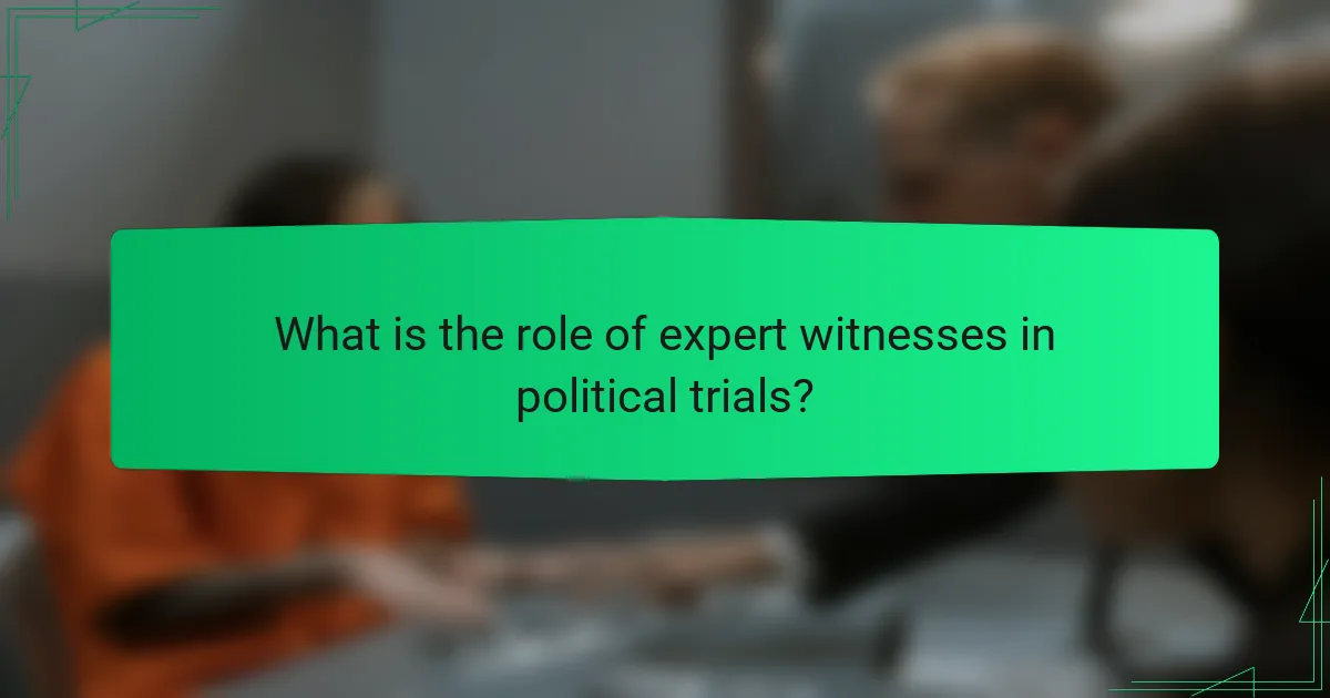 What is the role of expert witnesses in political trials?