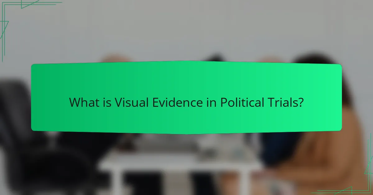 What is Visual Evidence in Political Trials?